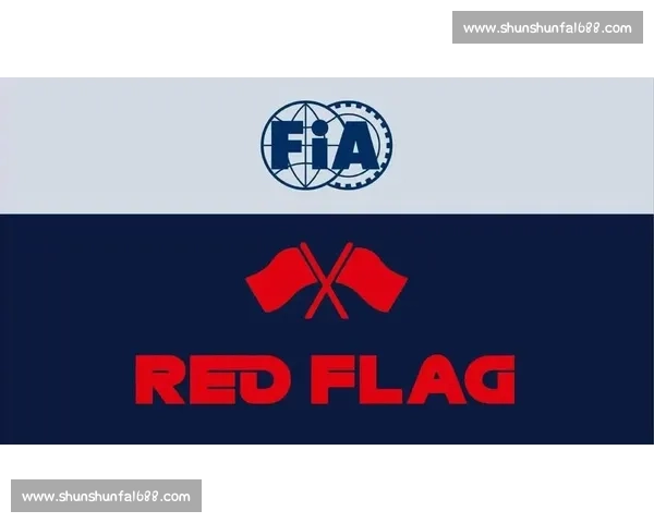 这一次，F1红旗的出现，打破了多少人的期待